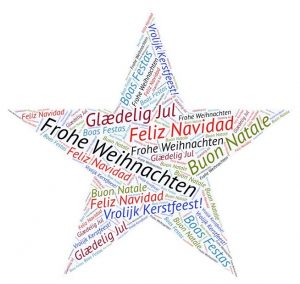 Weihnachtsstern