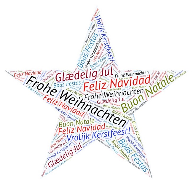 Weihnachtsstern