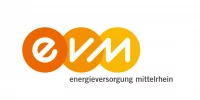 Logo evm